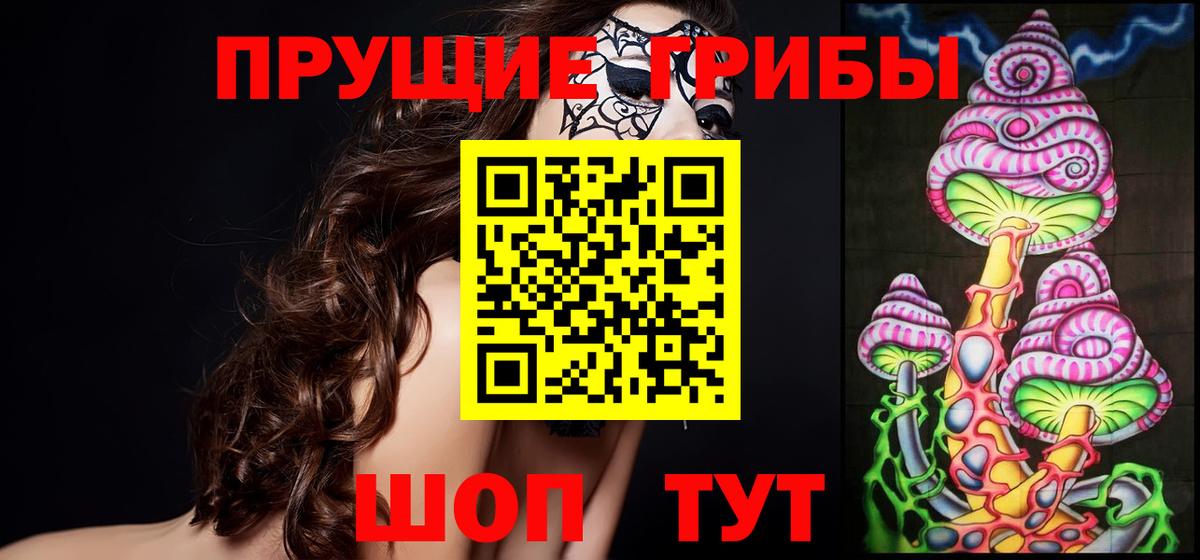 магазин продажи наркотиков  Вход с VPN  Псков  Галлюциногенные грибы Psilocybine cubensis 